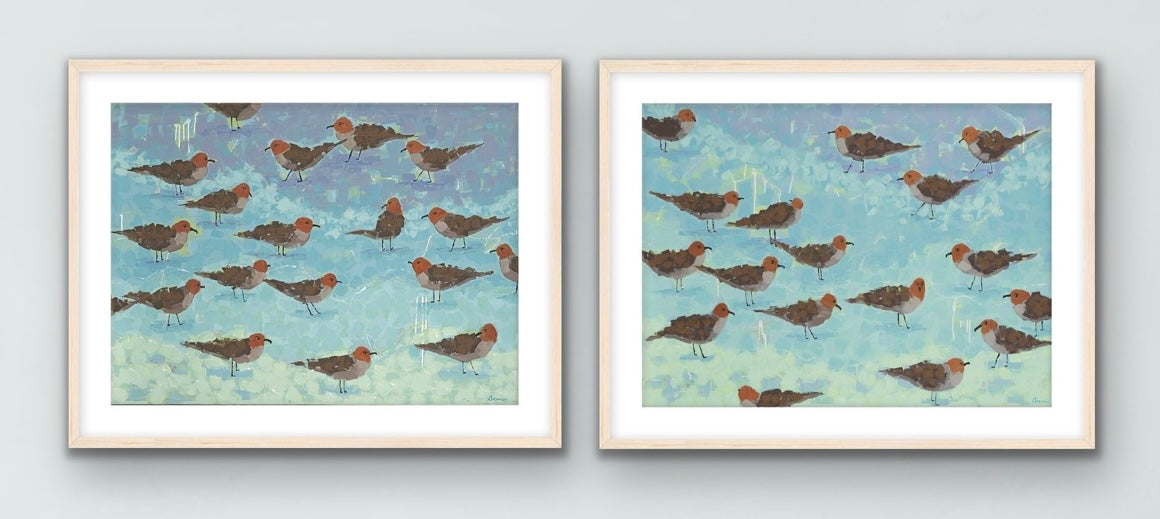 modern seashore birds in aqua and blue waters
